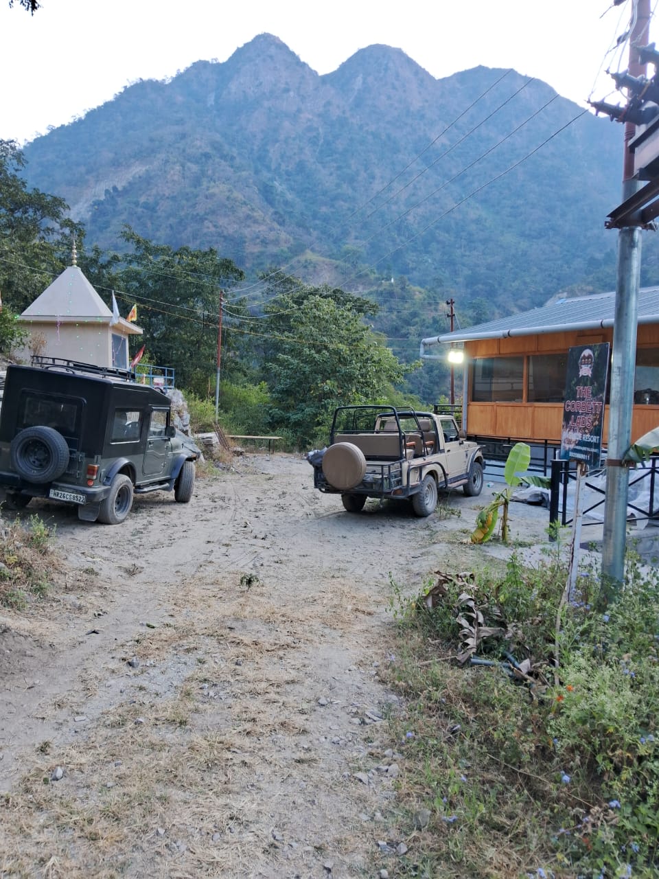 Corbett National Park wildlife safari